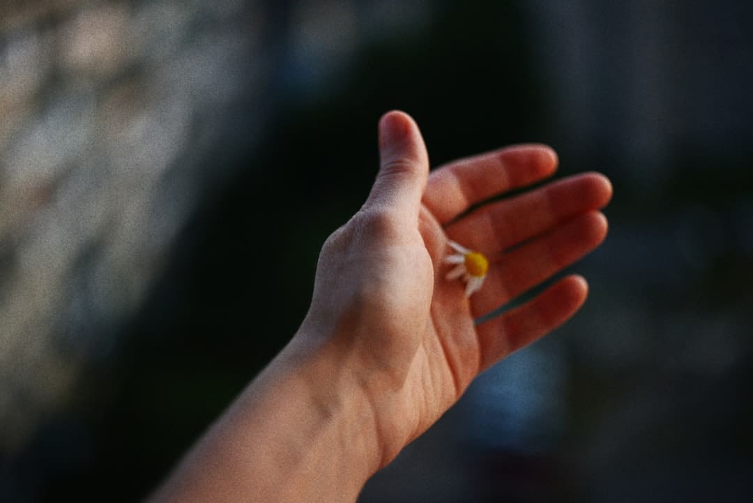 夏日全南莞岛值得一游的当地_